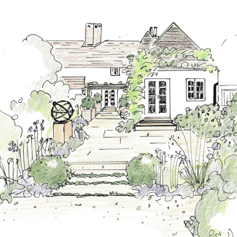 Sketch for a small cottage garden